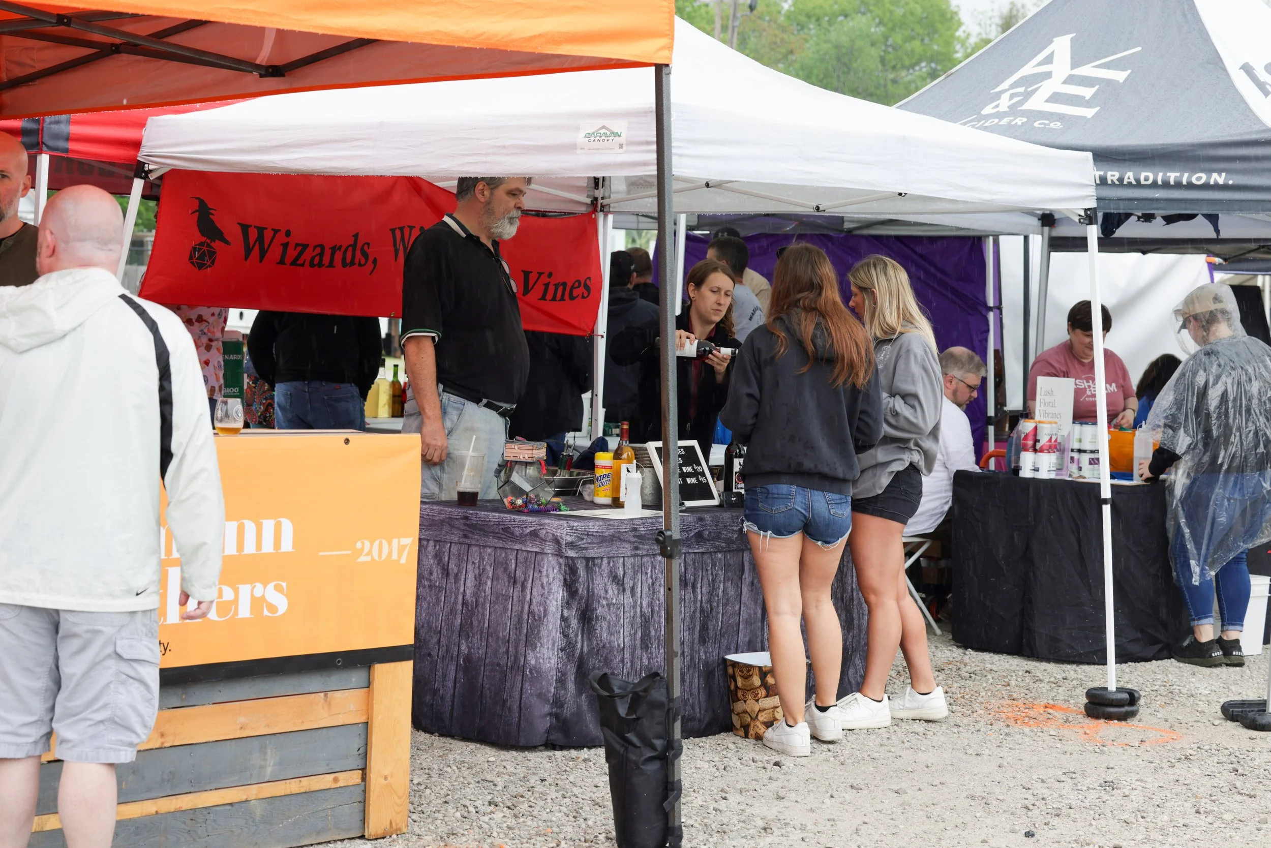 Wizards, Wines, Vines.jpg