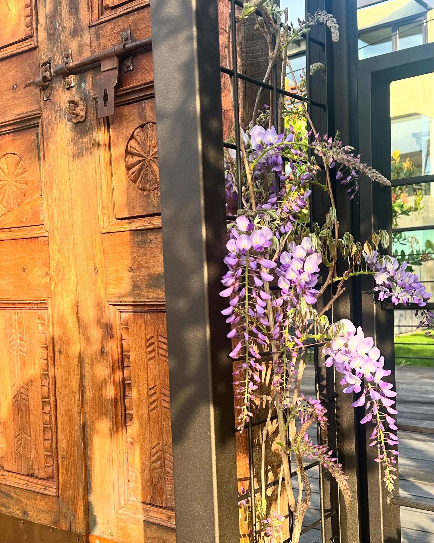 Spring is in the air!
.
.
.
#landscape #landscapedesign #landscape_lover #landscapearchitecture #landscapearchitect #landscapearch #zfla #landscapephotography #landscaping #zfreedman #contemporarylandscape #modernlandscape #contemporary #gardendesign