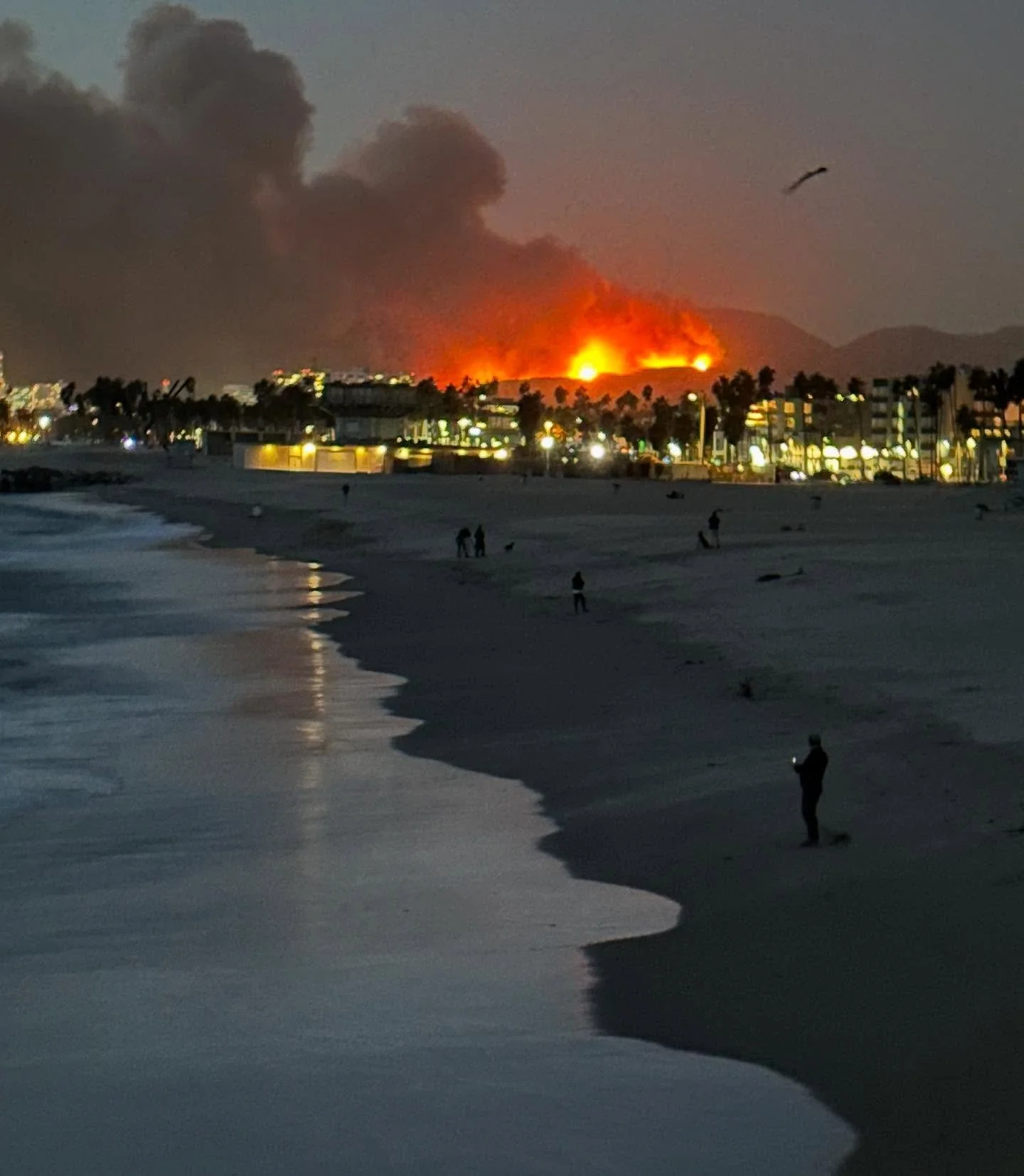 ZFLA would like to offer our support and love to our friends, families and neighbors during this devastating moment.