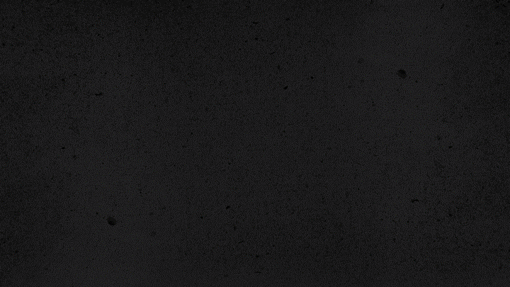 Nickelodeon HALO Awards Logo Animation