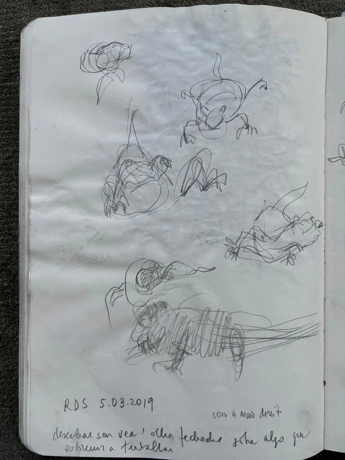 7bbba3b1-ee1b-48f1-a355-30f4b6556f59.jpg