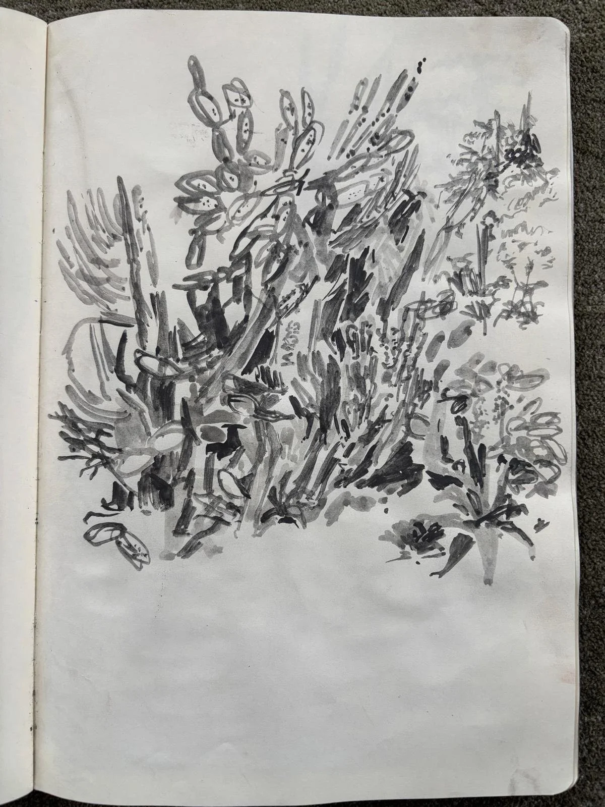9e28ce1b-7d0f-443e-9b37-9044de0af92e.jpg