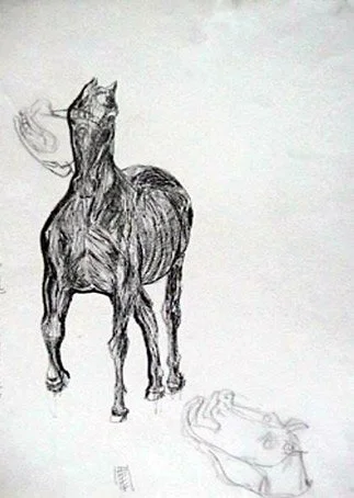 cavalo.jpg
