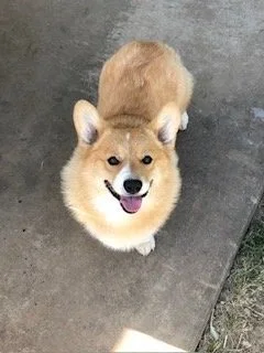 BUSTER.jpg