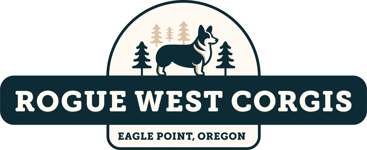 Rogue West Corgis