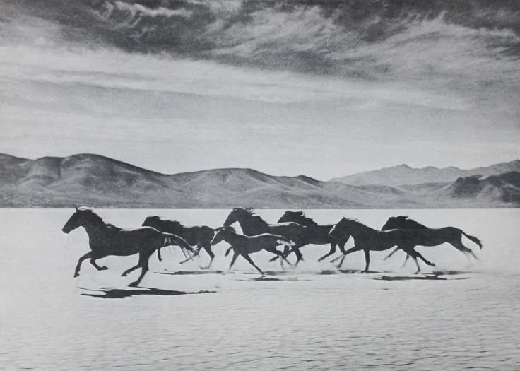 Dibujo en blanco y negro de caballos corriendo sobre un paisaje plano con montañas al fondo y cielo nublado.