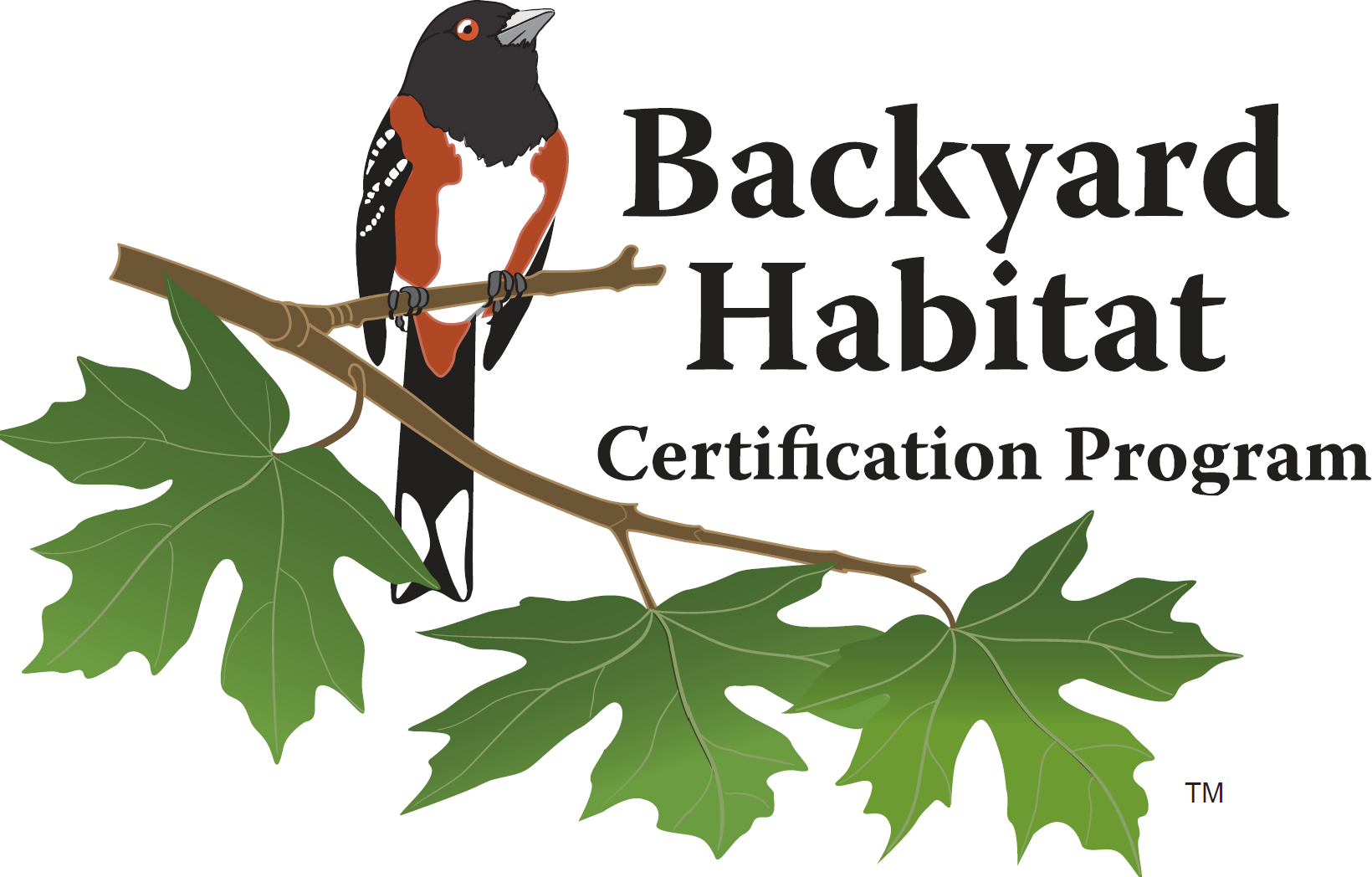 backyard habitat program.png