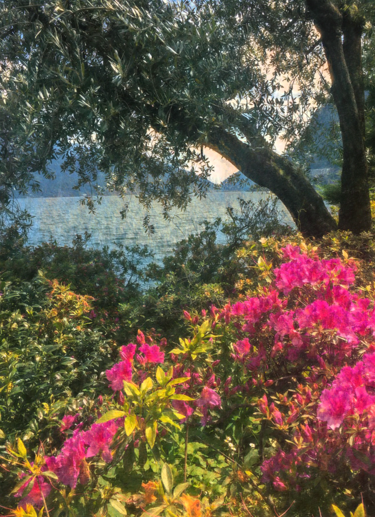LakeLugano_AELIS.png