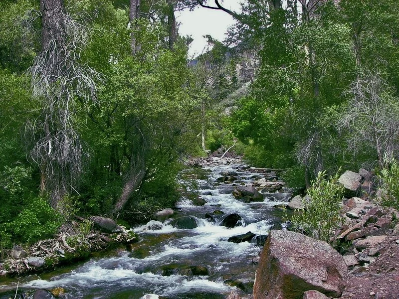 Tales of Trails: Grizzly Creek