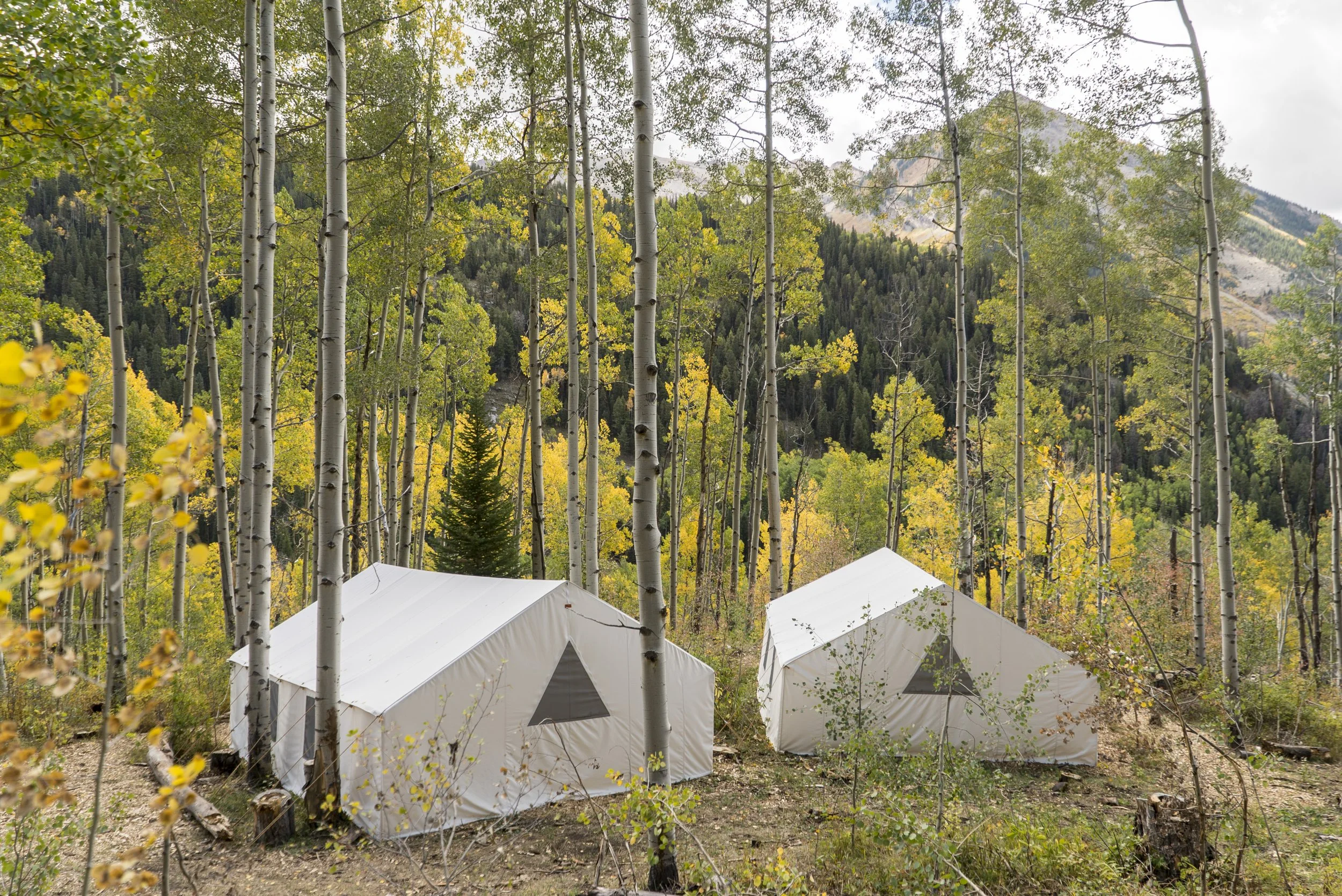 Restoration: Basecamp Outdoors
