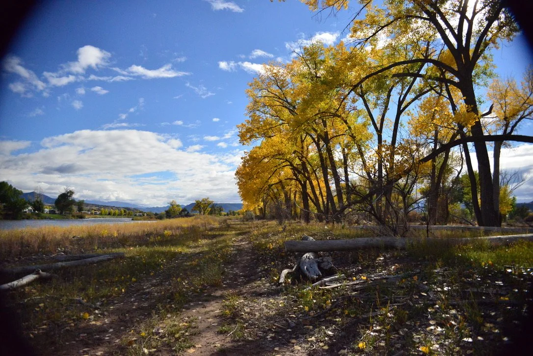 Restoration: Silt River Preserve
