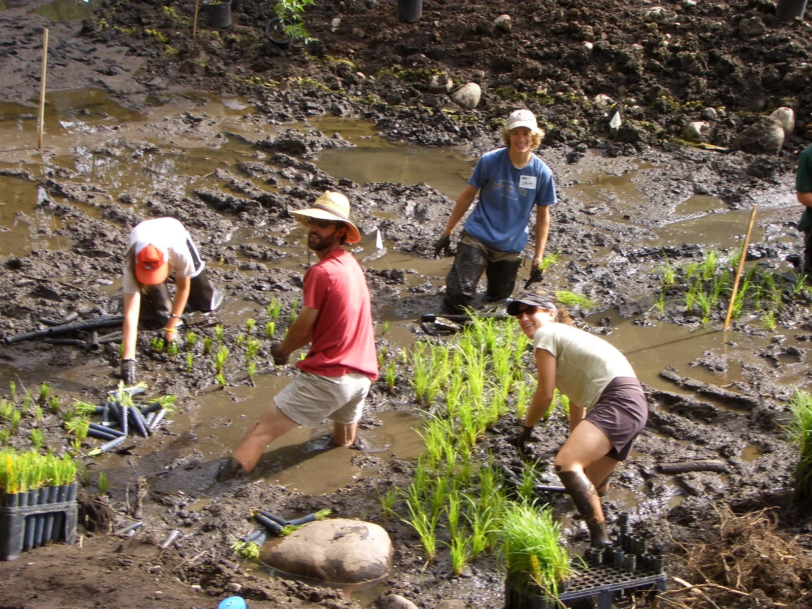 Restoration: Lazy Glen