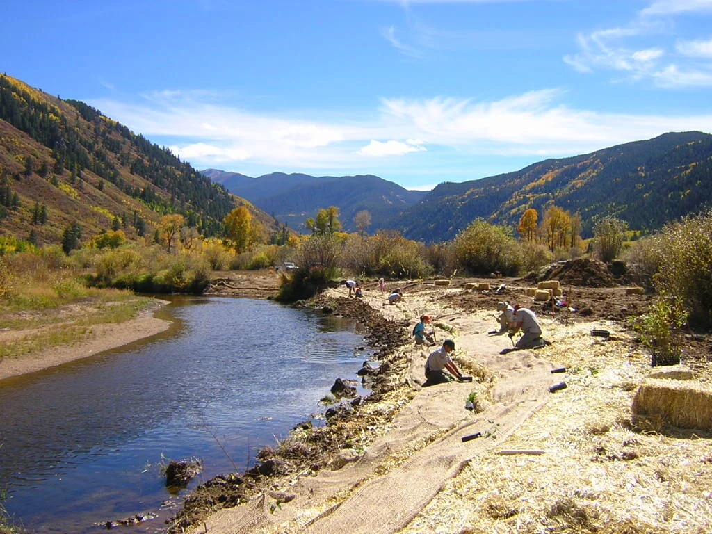 Restoration: North Star Wetlands
