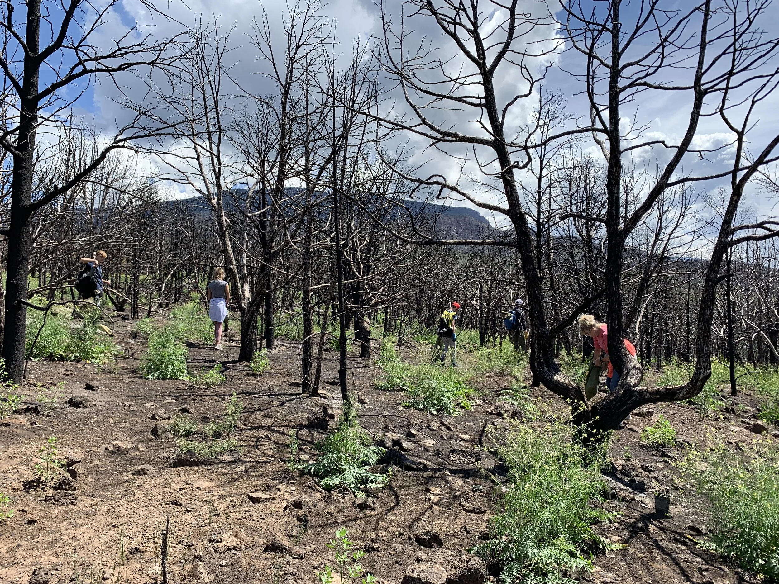 Restoration + Tour the Trails: Lake Christine