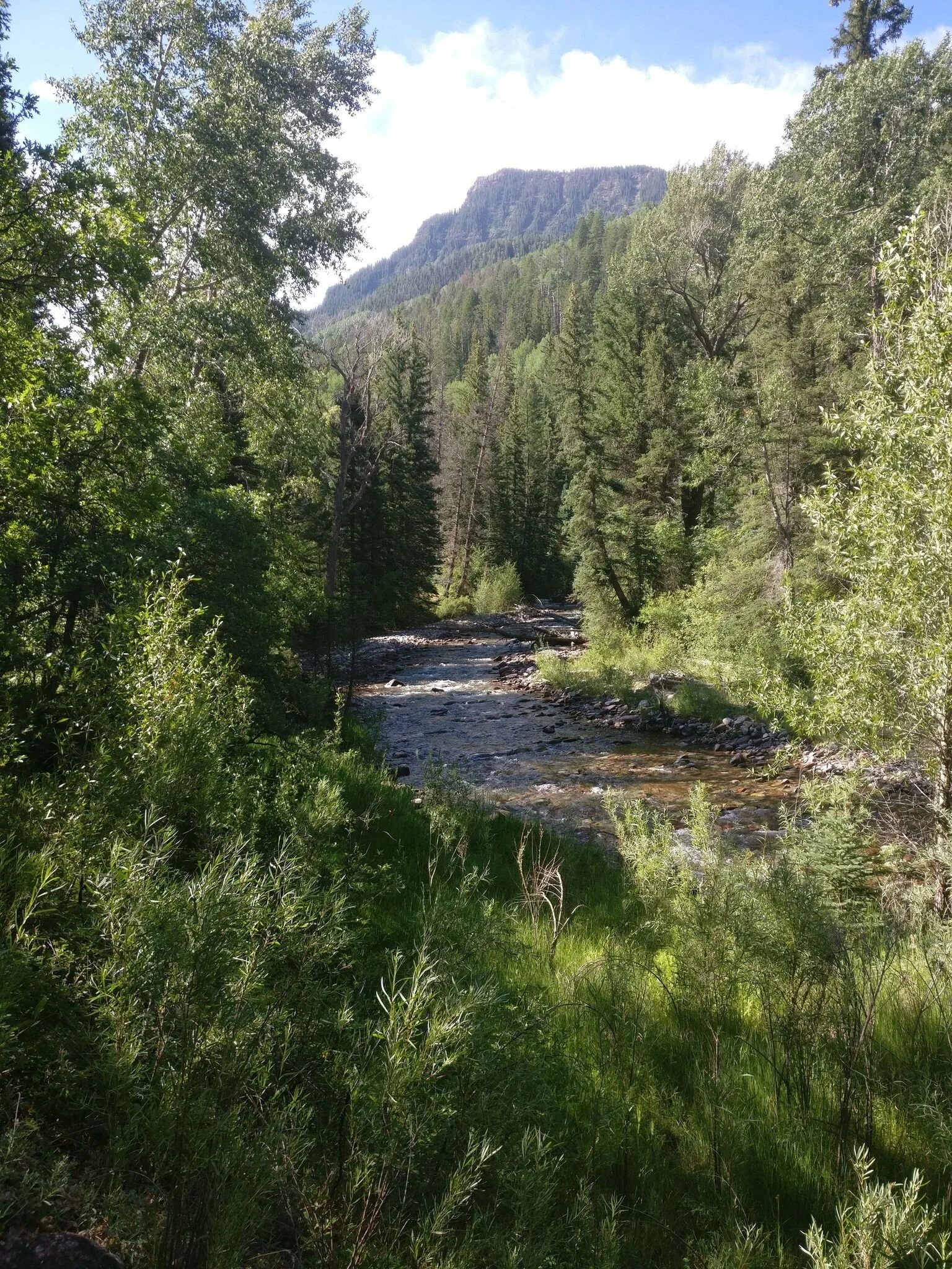 Trail Overnight: Avalanche Creek