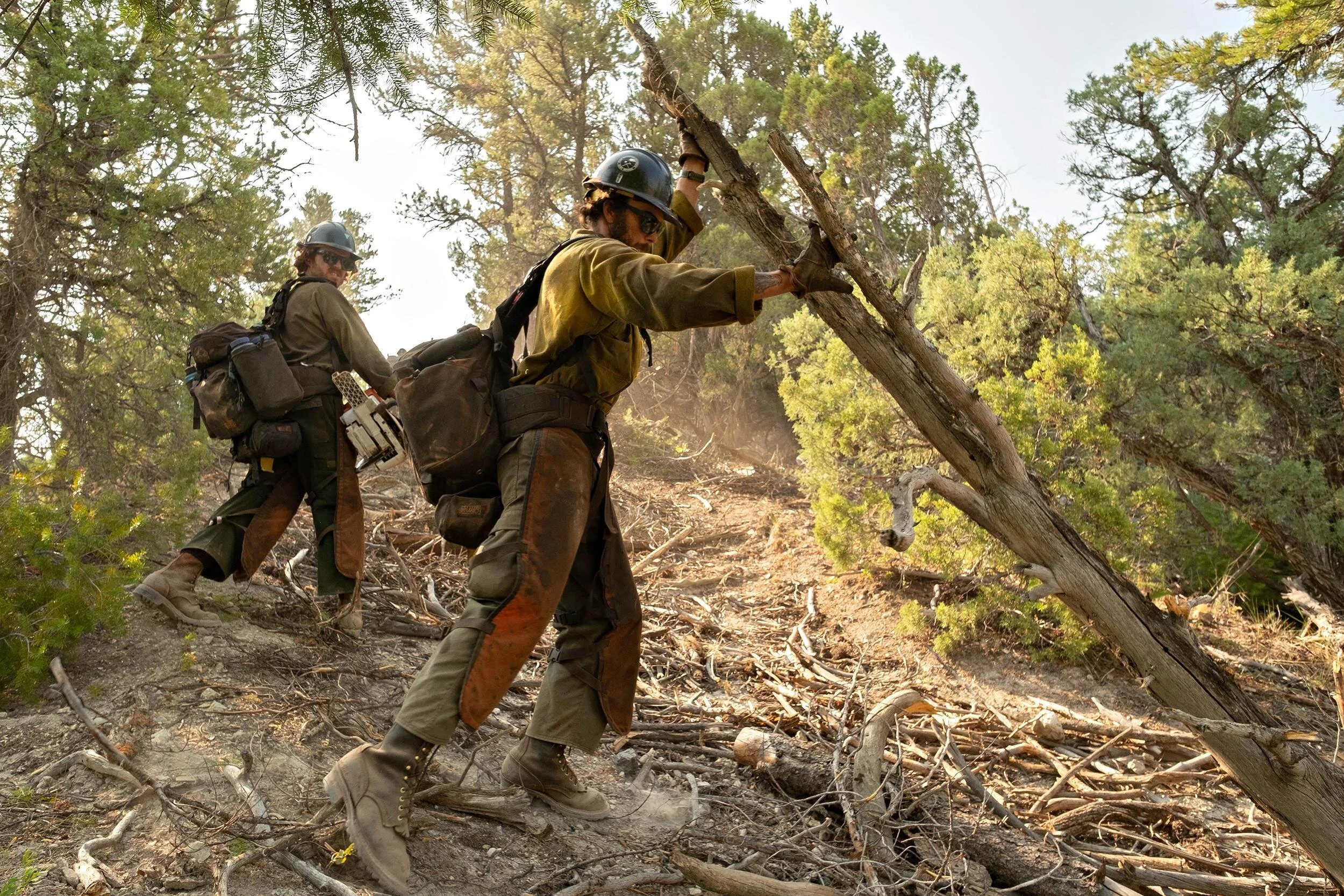5 Tools Making Grizzly Creek Fire Restoration Possible