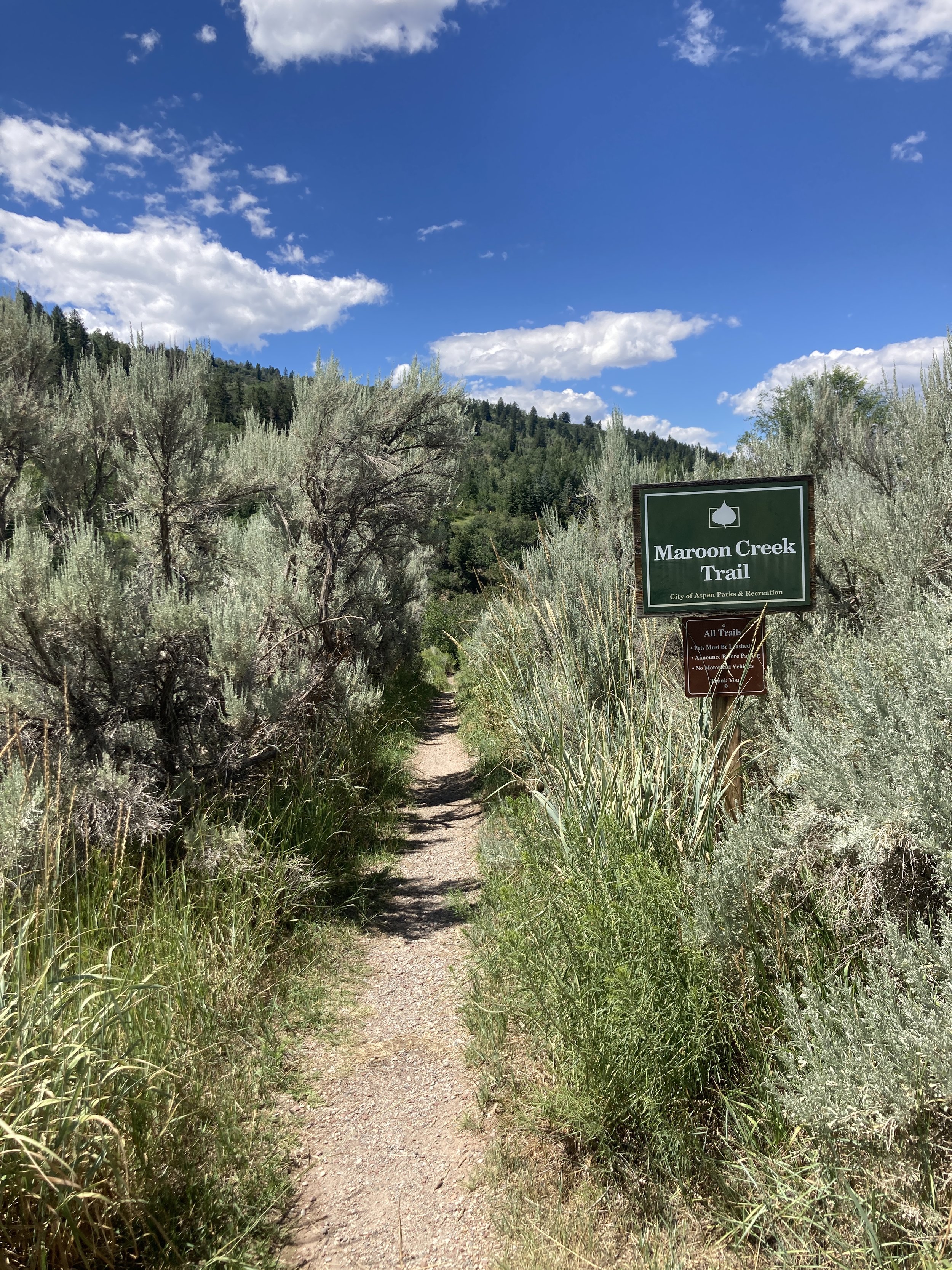 30th Anniversary Commemorative Project at Maroon Creek Wetlands