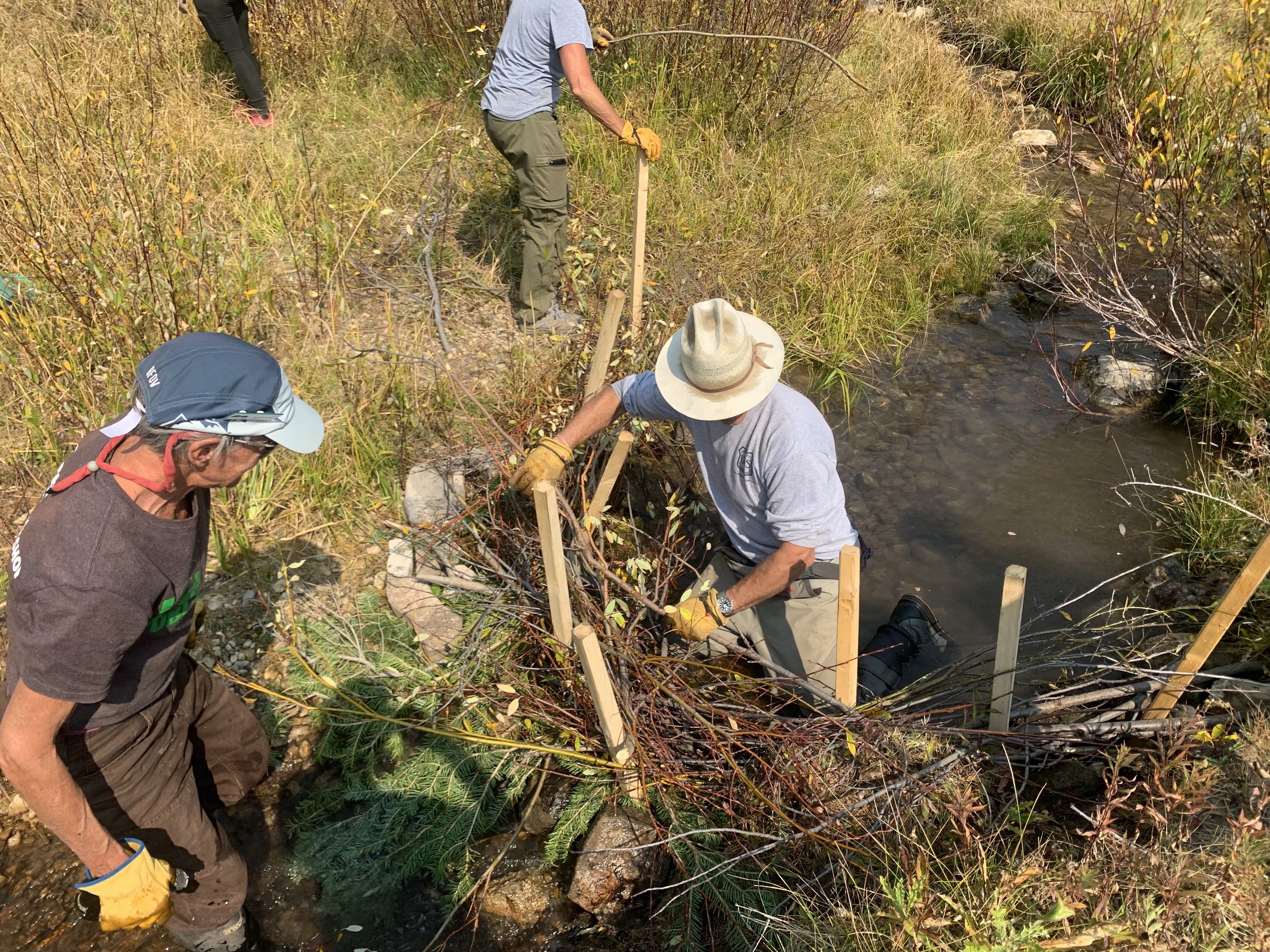 Butler Creek Beaver Dam Analogue (BDA) Overnight