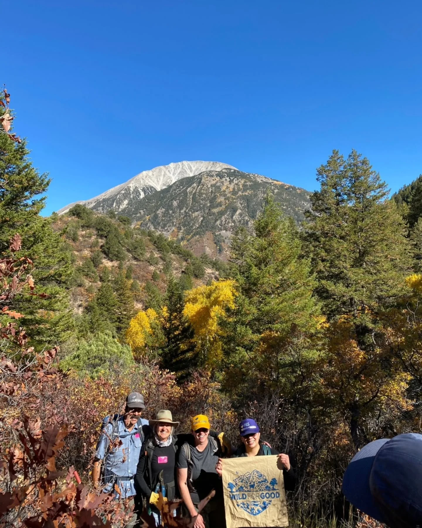 Huge thanks to our friends at @wildernessworkshop for tackling some much-needed trail work on the Perham Creek Trail last month! Their crew cleared the corridor, cleaned up drainages, and built sturdy check steps, making this well-loved trail safer a