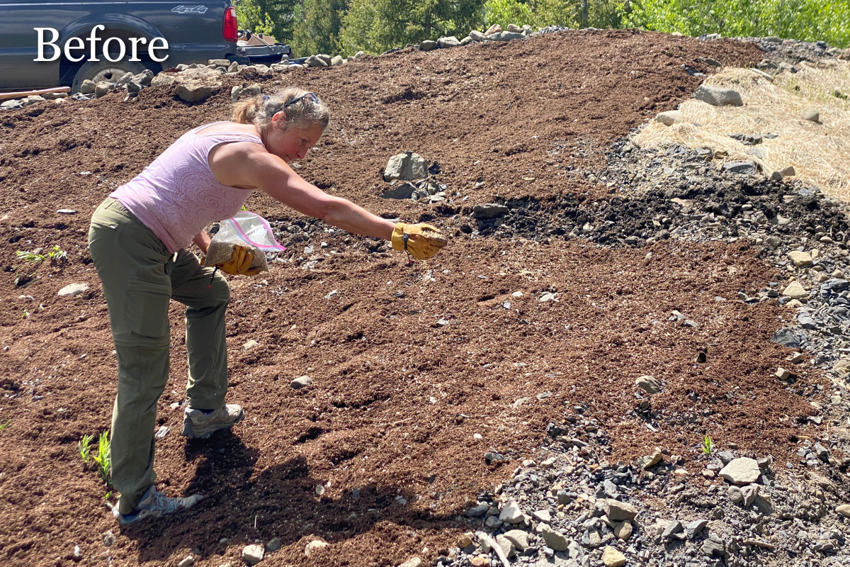 Before and After - Coal Basin Ranch.png