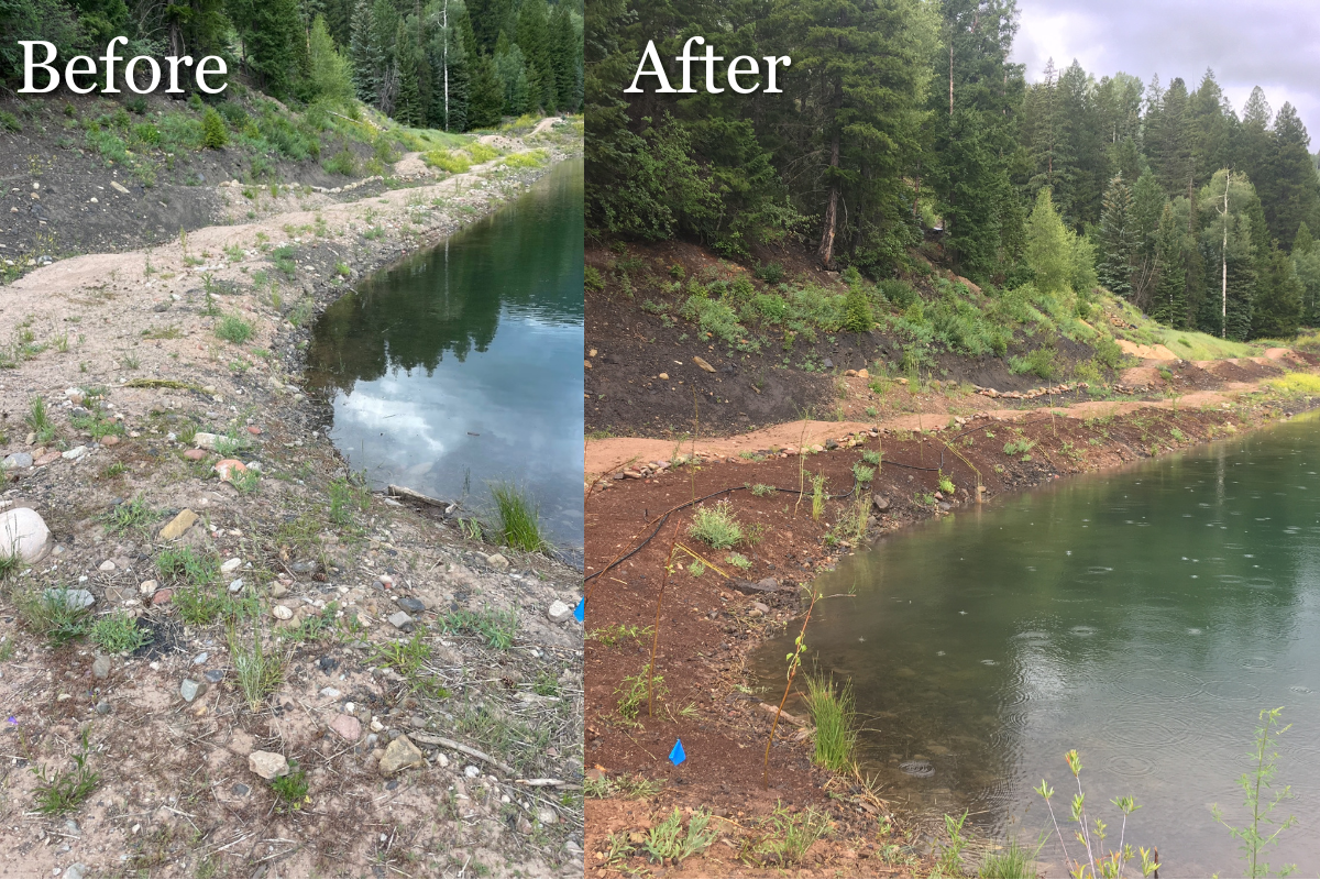 Before and After - Shoreline - Coal Basin Ranch.png
