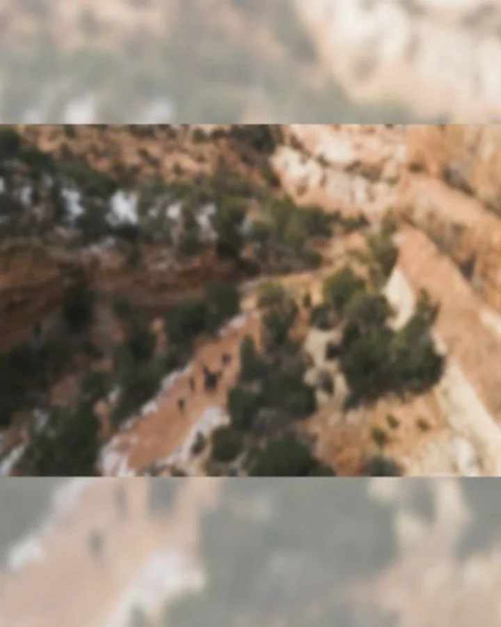 High schoolers &mdash; this is your sign. ⛰️

Youth in Nature is now accepting applications for next year! Spend one year building outdoor skills, gaining leadership experience, and exploring the places you love alongside an awesome cohort of peers.
