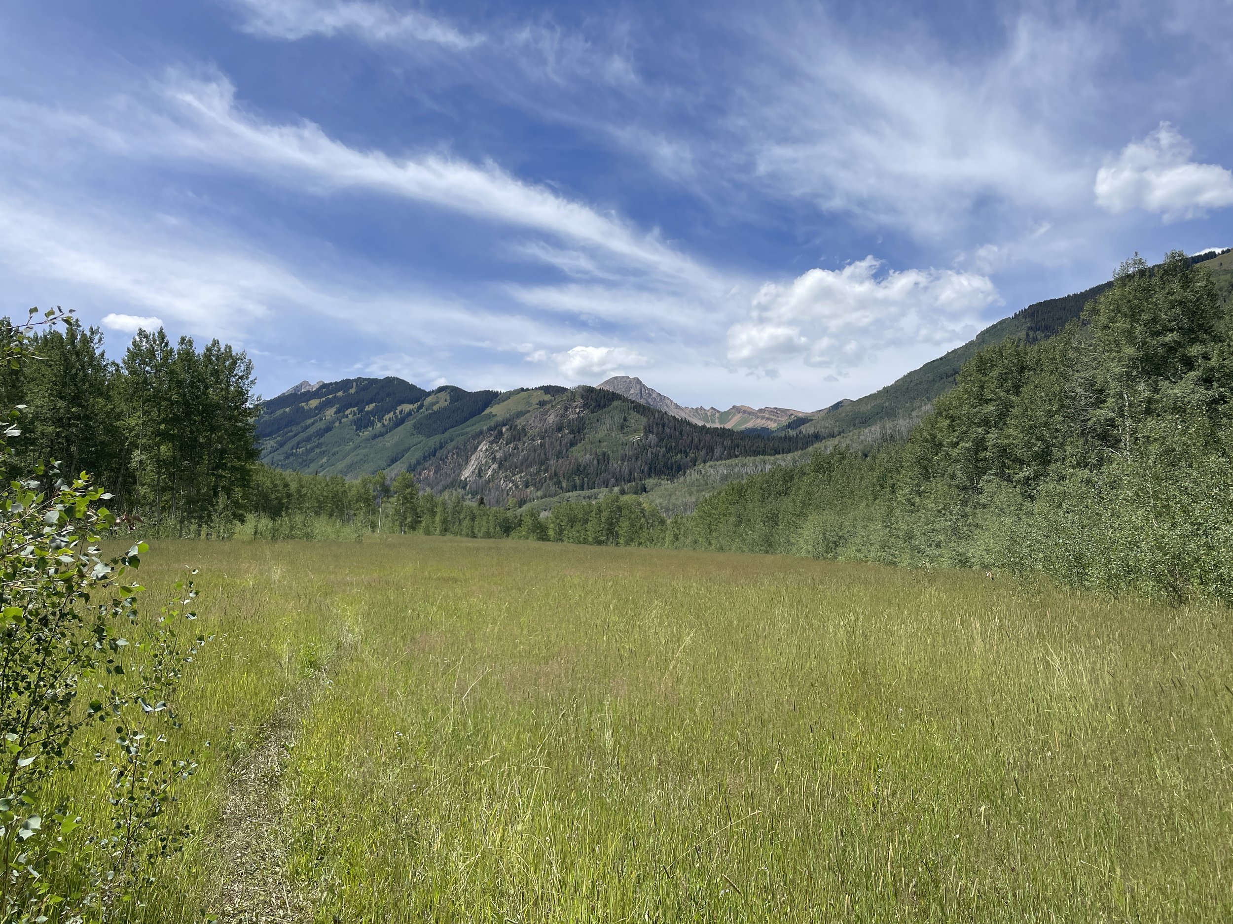 Snowmass Falls Ranch Noxious Weeds Removal