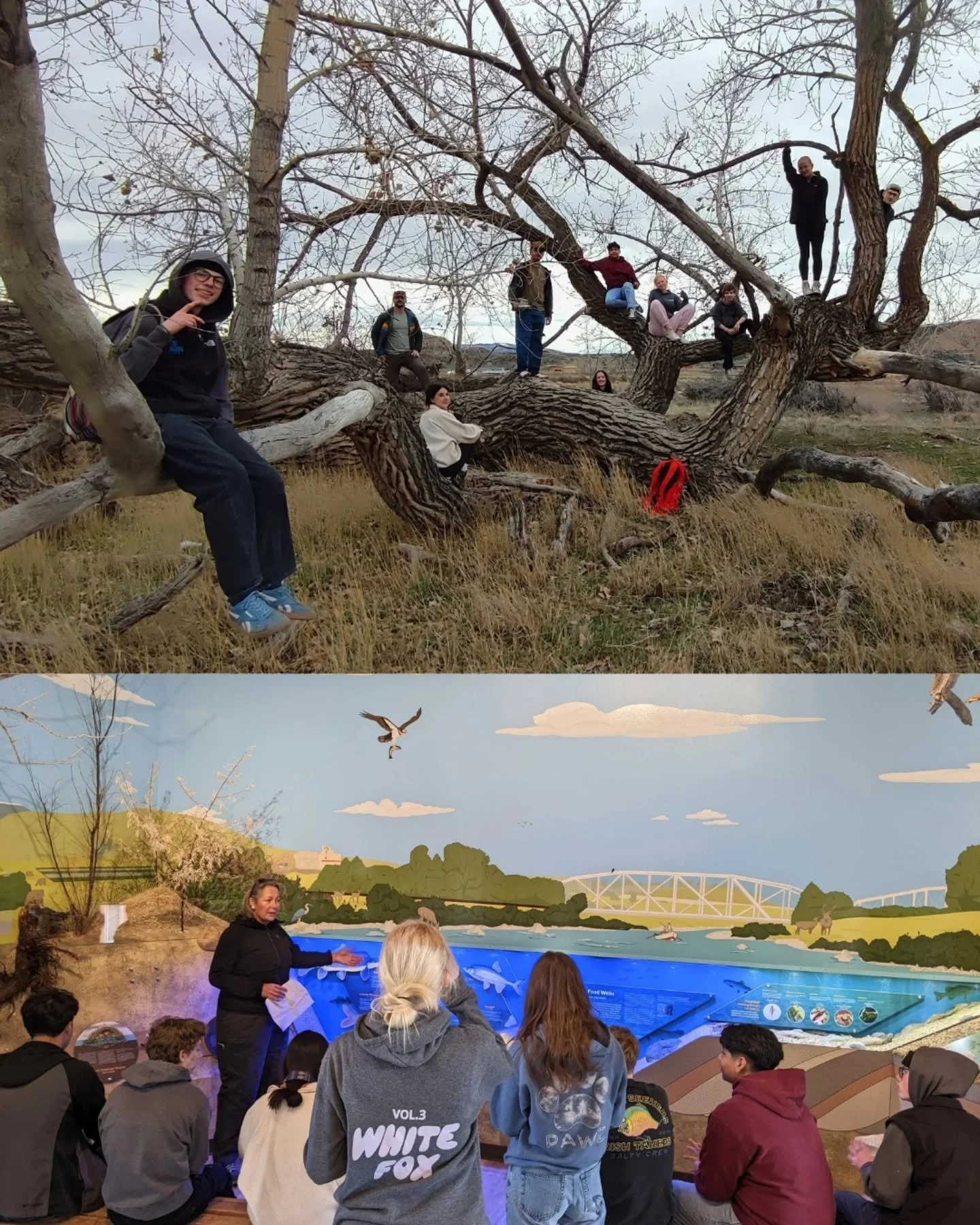 Earlier this month, our Youth in Nature interns spent the day along the Colorado River and it did not disappoint!

Partnering with @midcowatershed , students explored riparian habitat around Lion's Pond and the Rifle Riverstop, learning about the wat