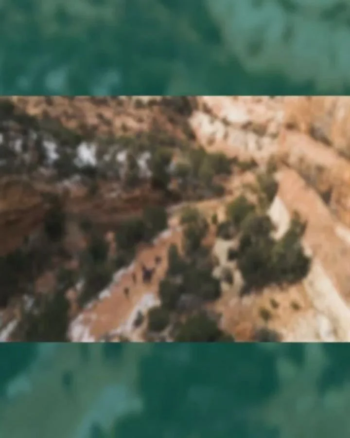 ⏳ ONE DAY LEFT to apply for Youth in Nature! If you're a high schooler ready to learn outdoor skills, meet new friends, and gain real-world conservation experience &mdash; don't let this deadline pass you by!

Apply now &rarr; link in bio.

#RFOV #Yo