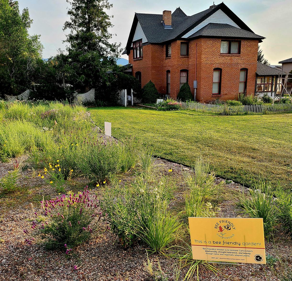 Bee Friendly Carbondale Family Drop In - Night 1