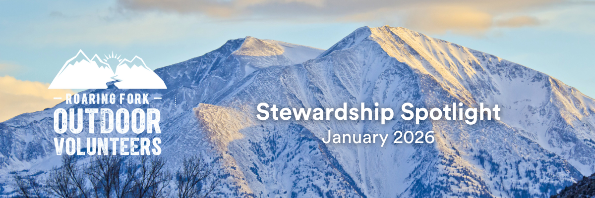 Jan News Heading.png