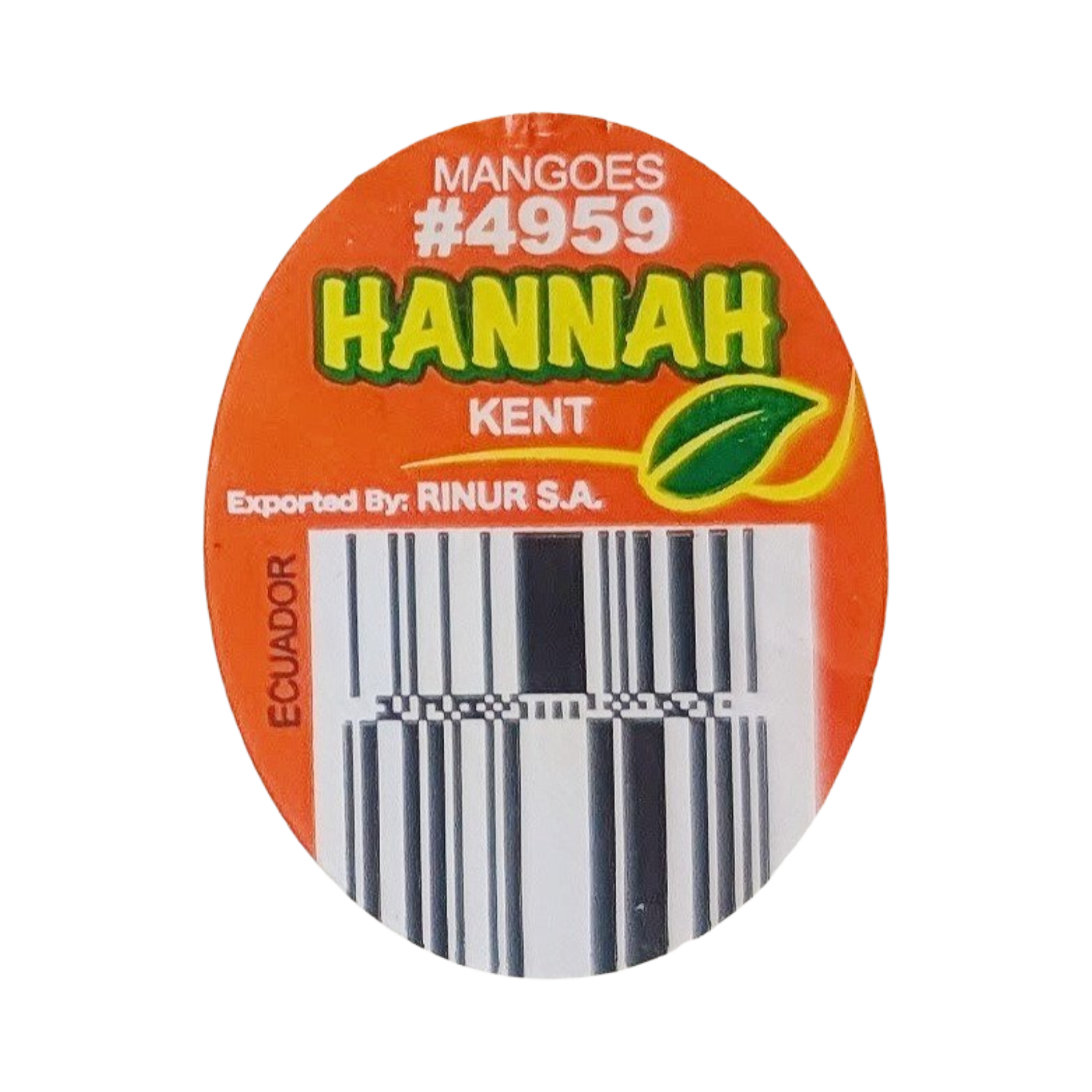 hannah the mango