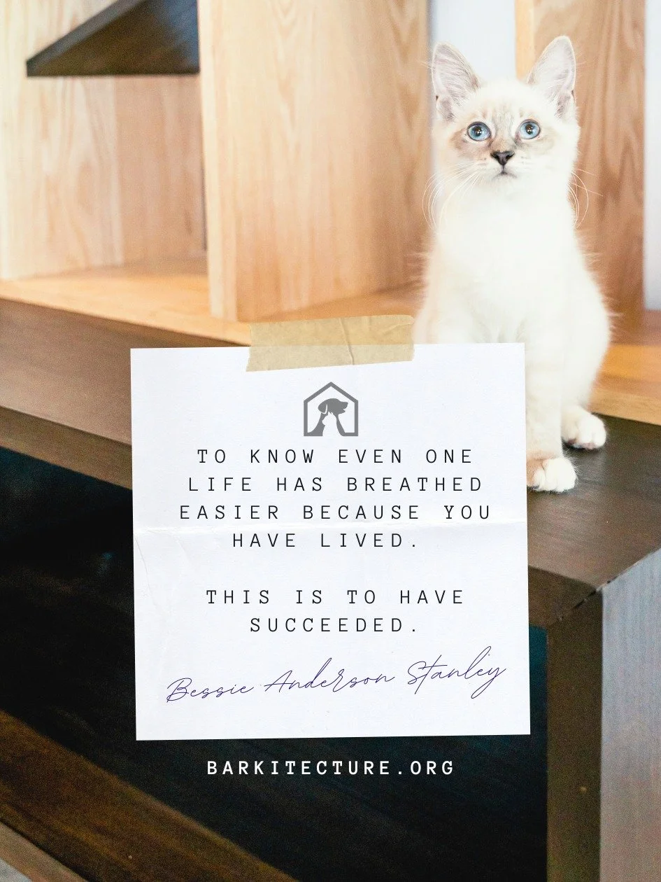 This is the mindset we're entering 2026 with! 🐾🎉

We're gearing up for the new year and ready to make a difference in even more pet lives - are you ready to join us??

Drop us a message if you're looking to get involved and make a difference in you