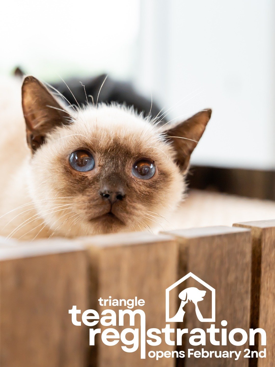 Because we cant wait any longer to meet our new barkitects! 🐾🏠

And we could use some good news and cute pet pictures...Team Registration officially opens for our Triangle Barkitecture event next Monday, February 2nd. 

New to 2026: Teams will get 