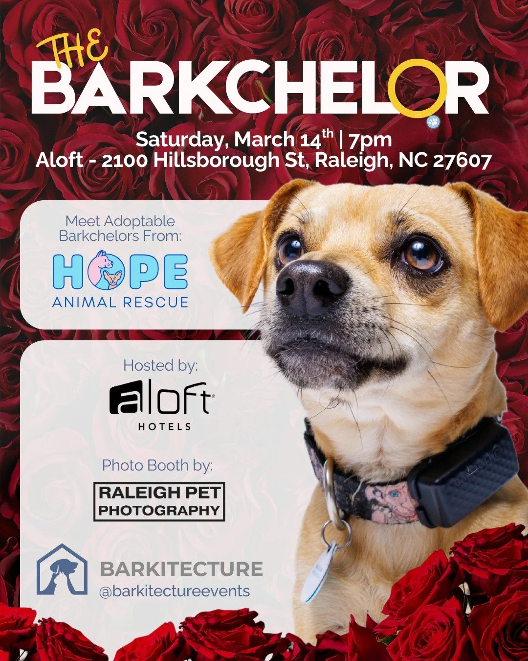 🌹 Will you accept this leash? 🌹

Join us for The Barkchelor at Aloft and meet the cutest contestants in the Triangle, all hoping to find their forever human.

📅 Saturday, March 14
📍 Aloft Hillsborough St

✨ Adoptable pups from Hope Animal Rescue
