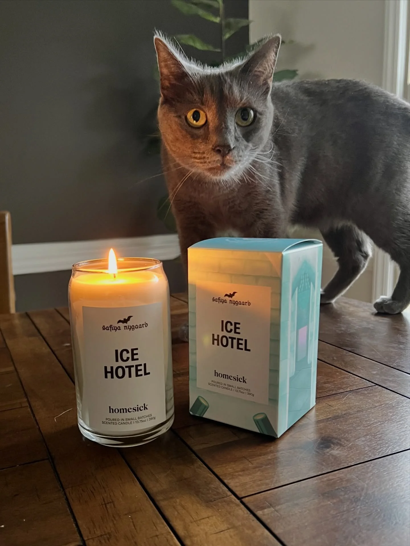 The cats have been very interested in the new @safiyany Ice Hotel candle collaboration with @homesick - we appreciate the relaxing vibes during our event planning (and severe weather threats from the week), I think they are most into the whole fire p