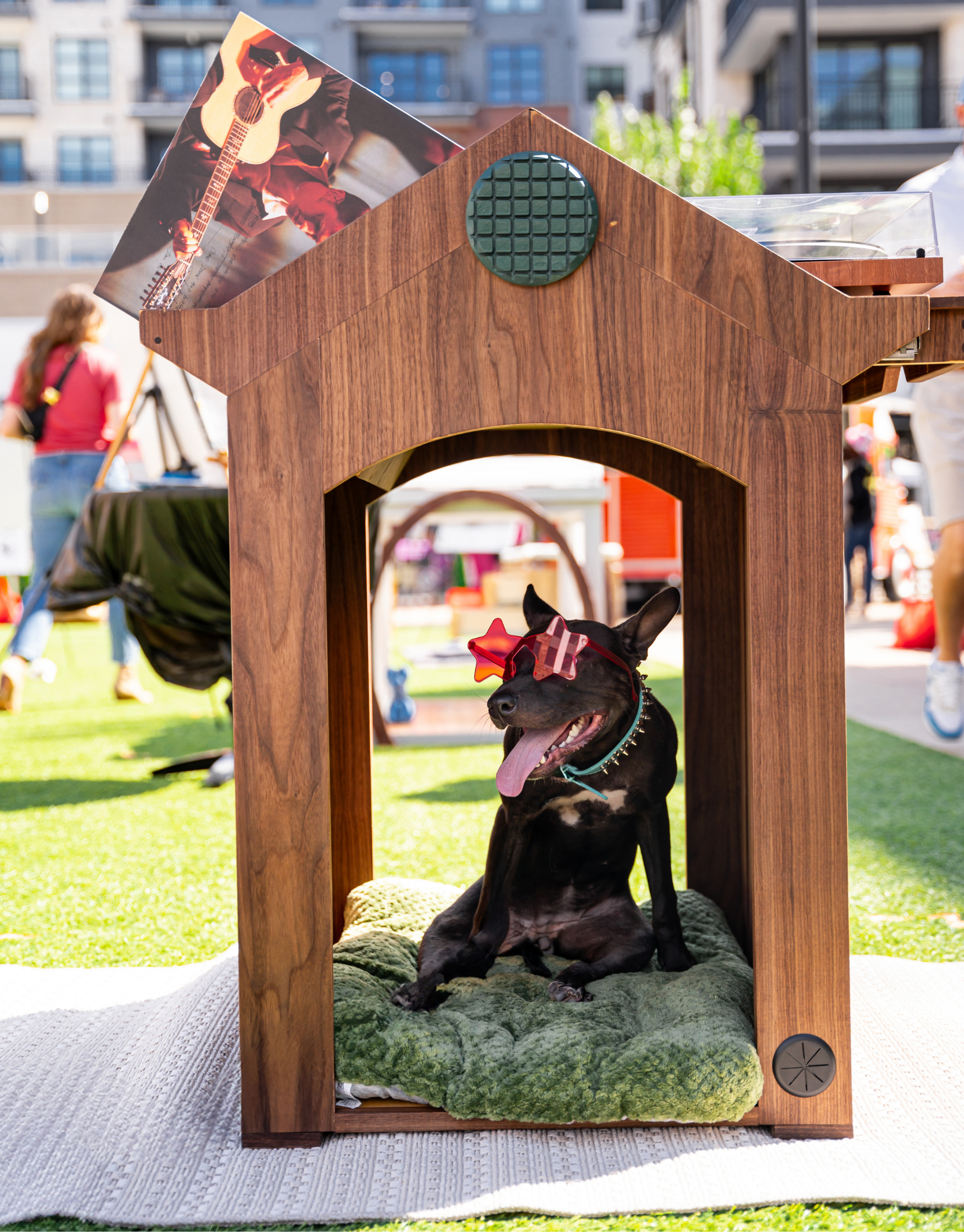 A small black dog with star-shaped sunglasses sits inside a wooden dog house on a green blanket at an outdoor event.
