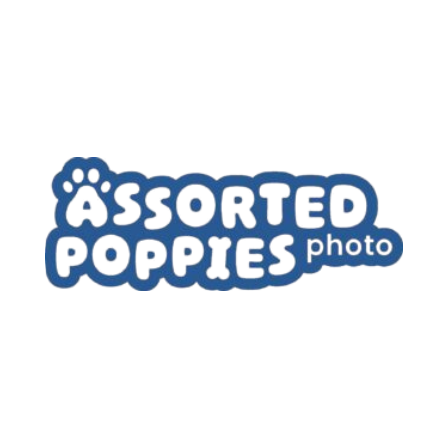 Blue logo with text reading 'ABSTRACT POPPINS' and a small 'store' tag underneath.
