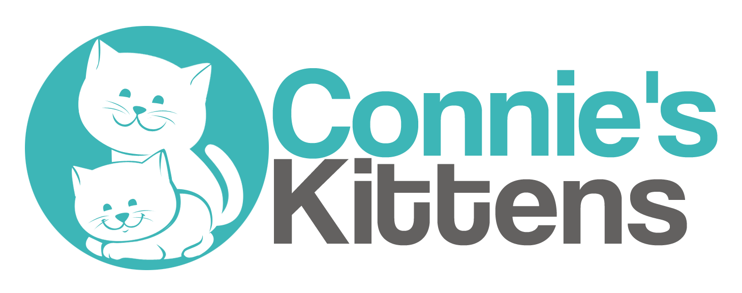 Coonie's Kittens a nonprofit cat rescue and barkitecture events partner