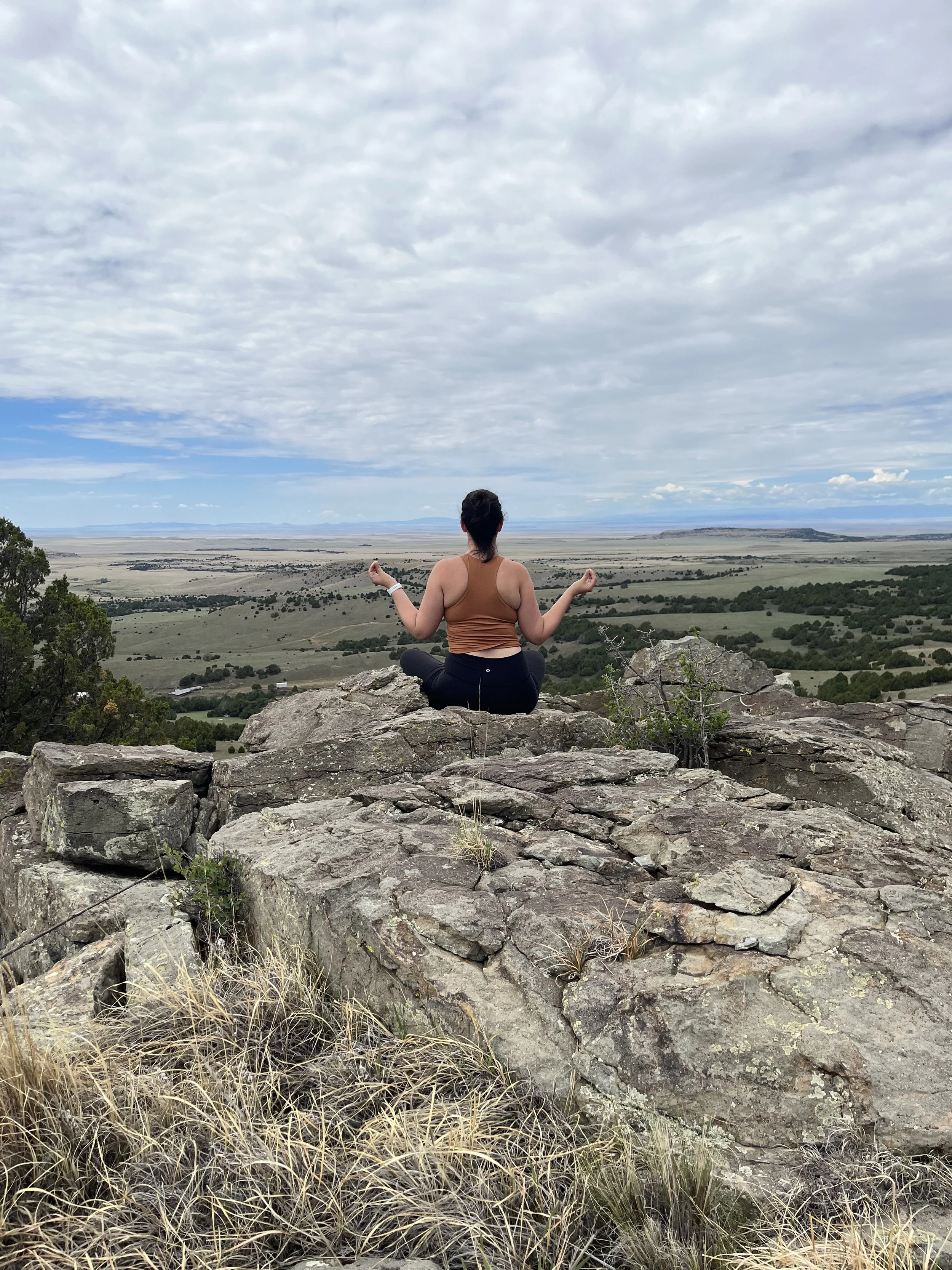 Picturing Diana on a rock overlooking a New Mexican Landscape.