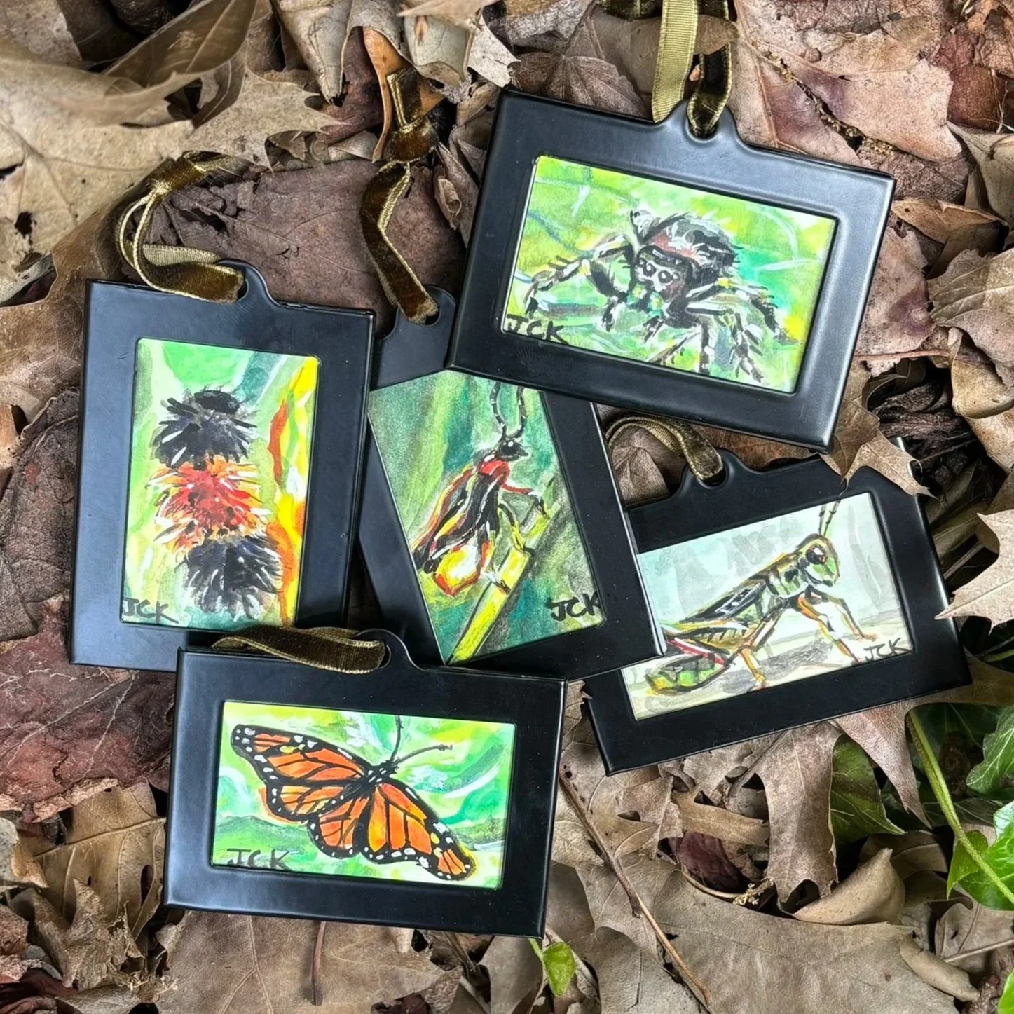Native Ohio Bugs (Series)