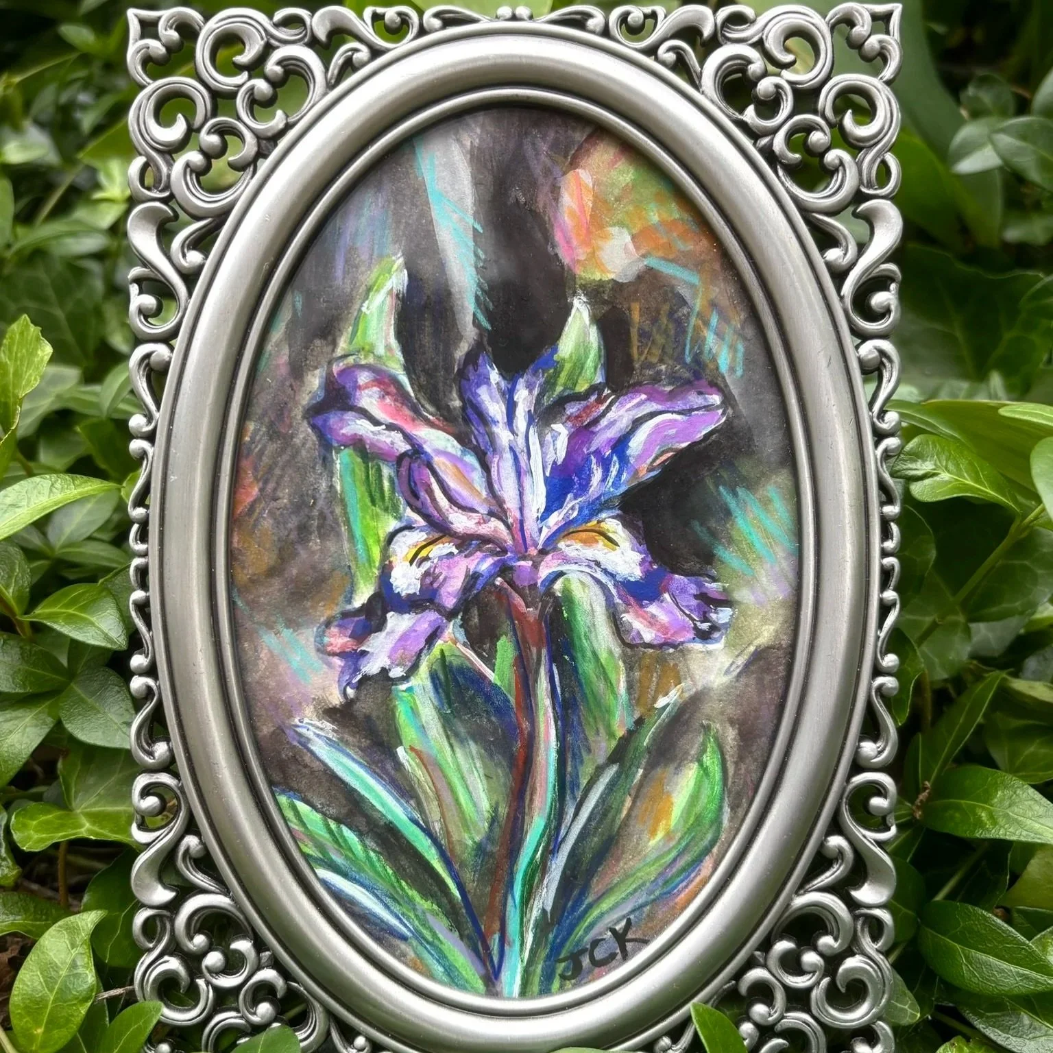 Dwarf Iris