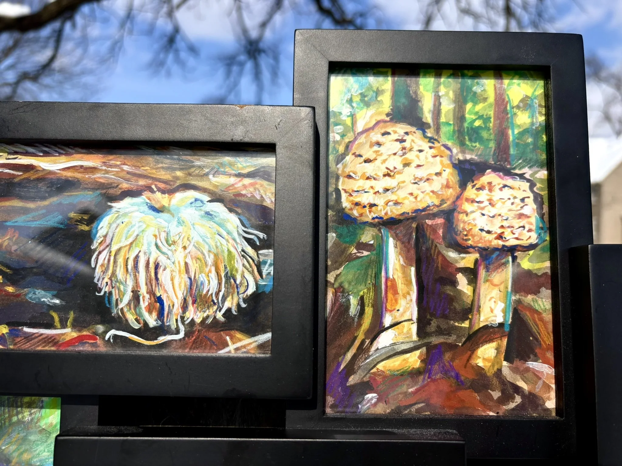 Mycology, 2026, 4.5x5.5 inches each, gouache and colored pencil on illustration board in thrifted 12.5x18 inch frame