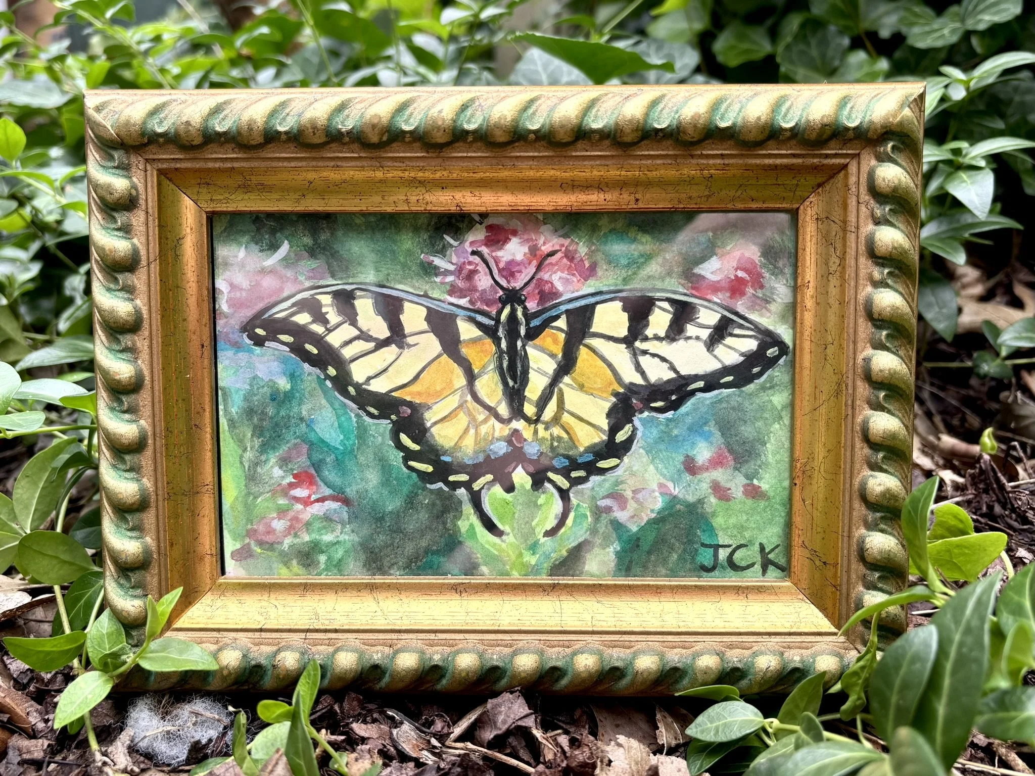 Tiger Swallowtail, 2026, 4x6 inches, gouache on multimedia paper in a 6x8 inch thrifted frame