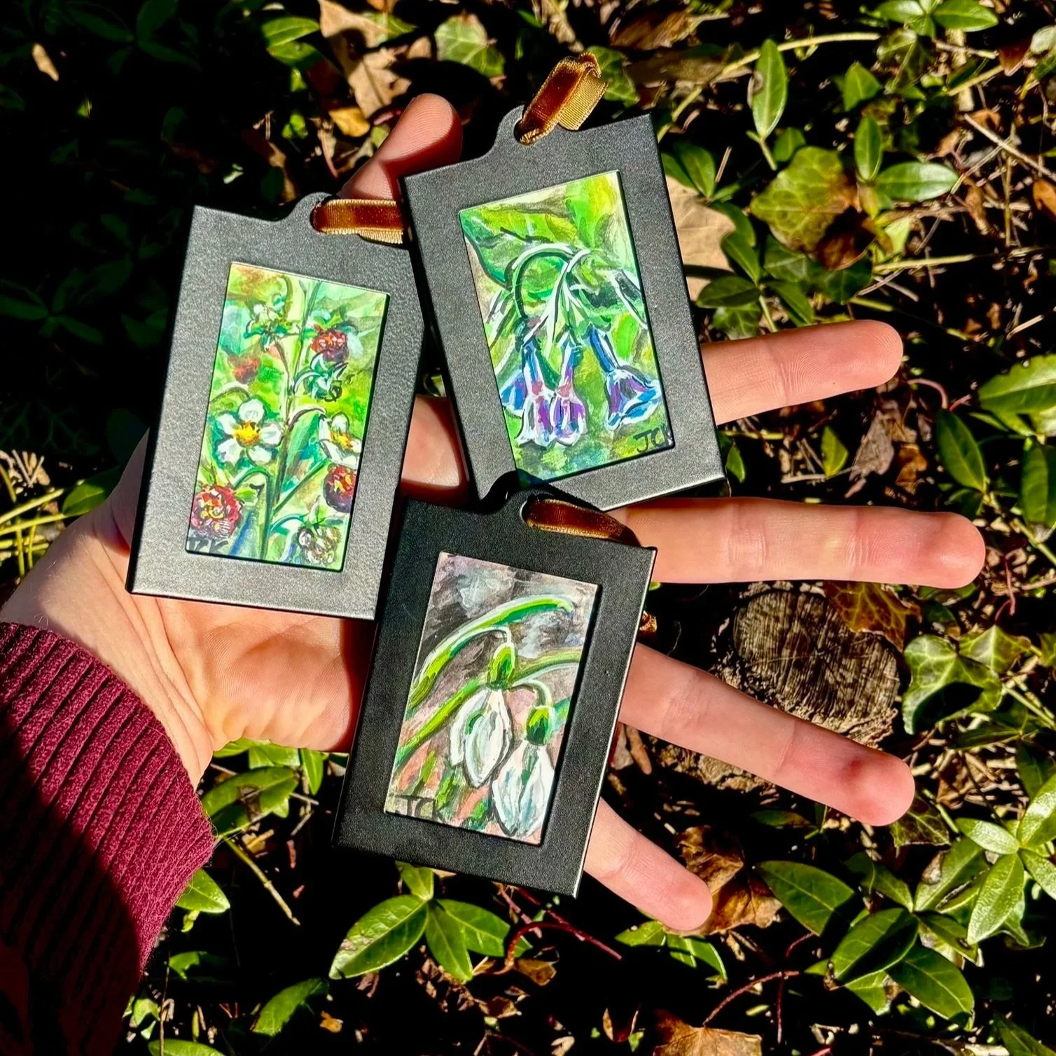 Native Ohio Plants (Series)