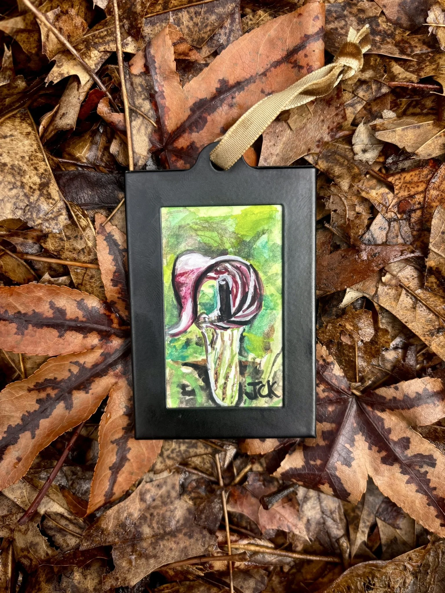 Jack-in-the-Pulpit, 2026, 2x3 inches, gouache on multimedia paper