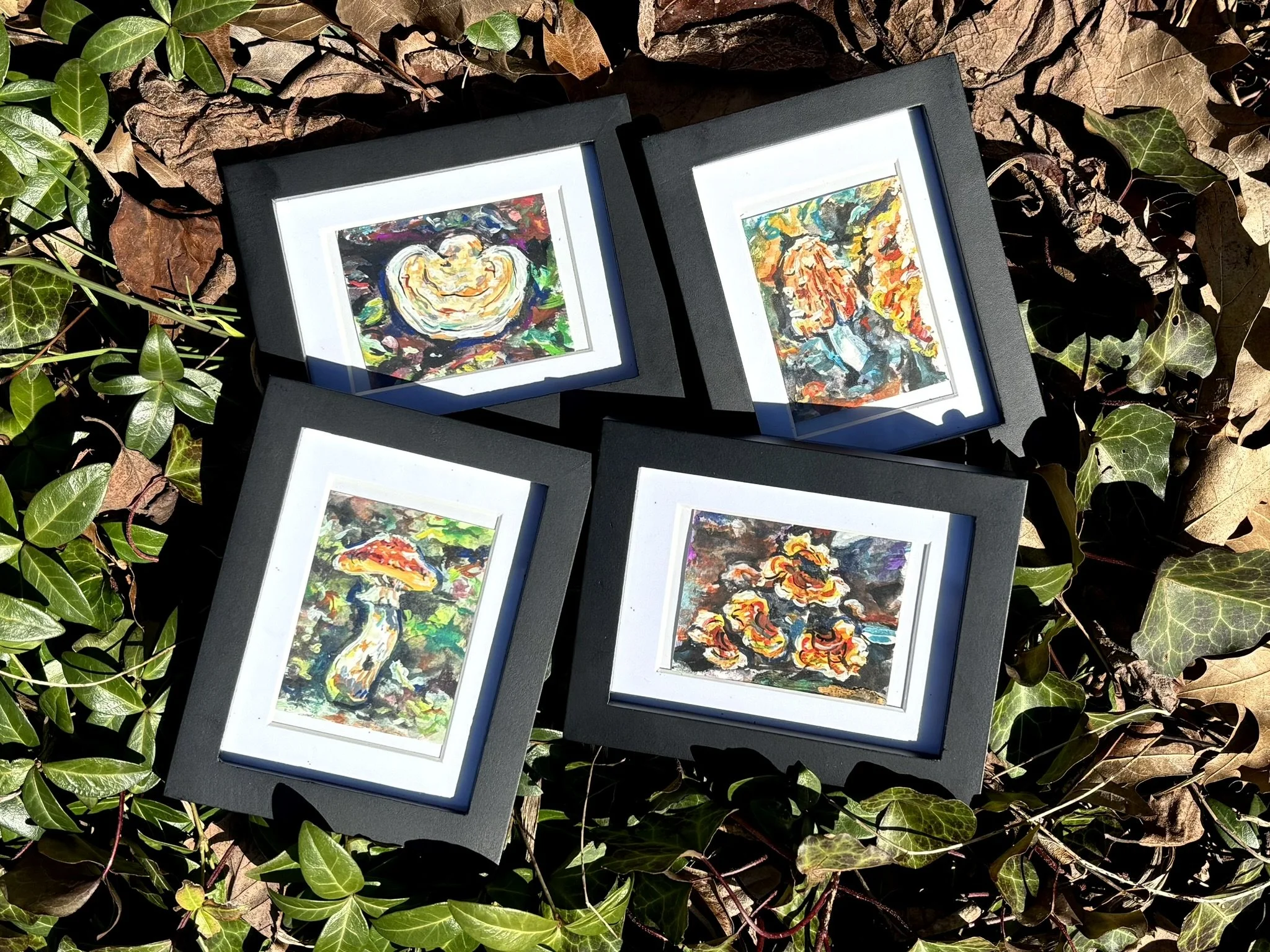 Mini Mushrooms (Series)