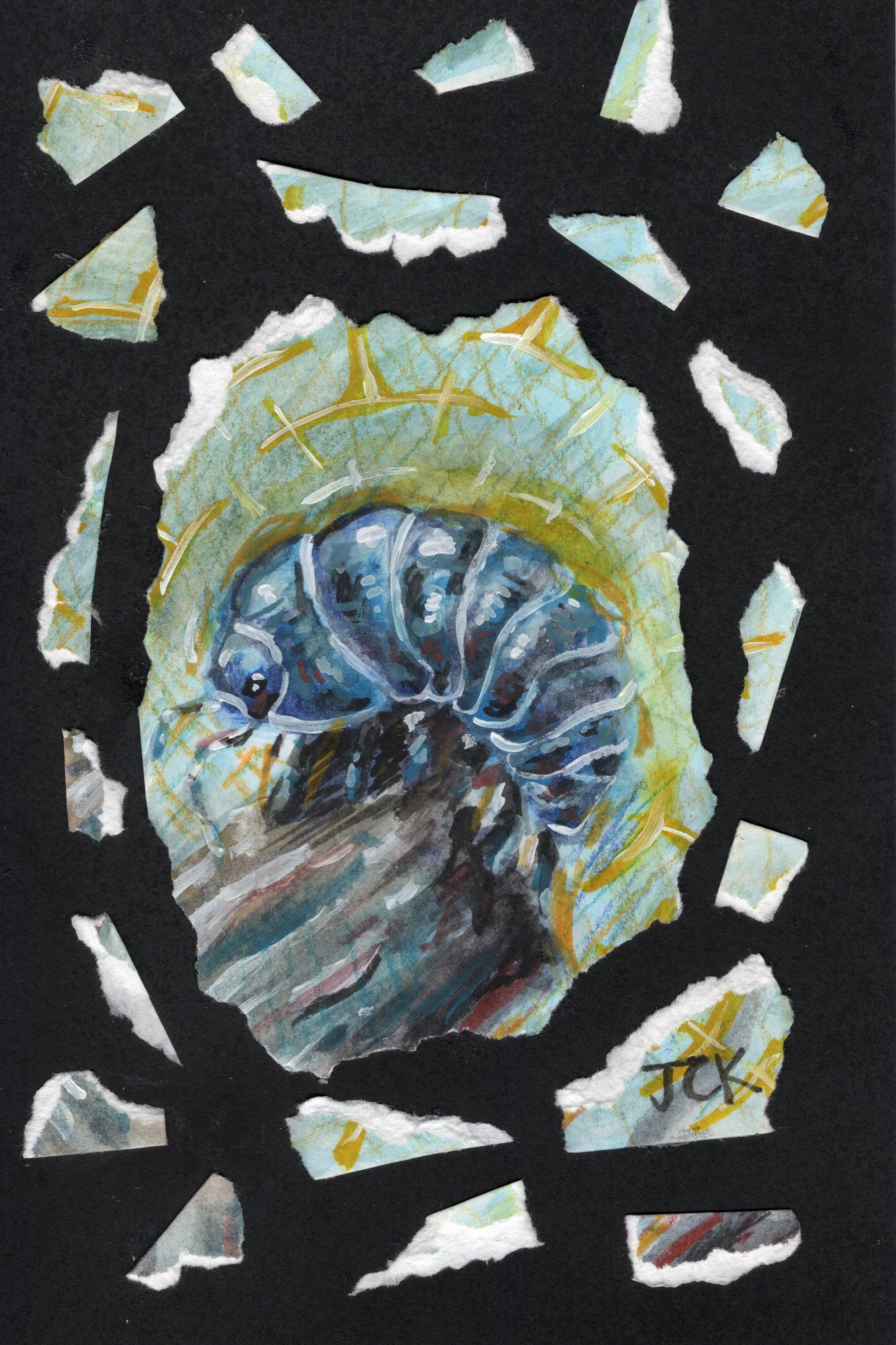 Pillbug, 2026, 4x6 inches, gouache on multimedia paper collage in a 6.5x8.5 inch thrifted frame