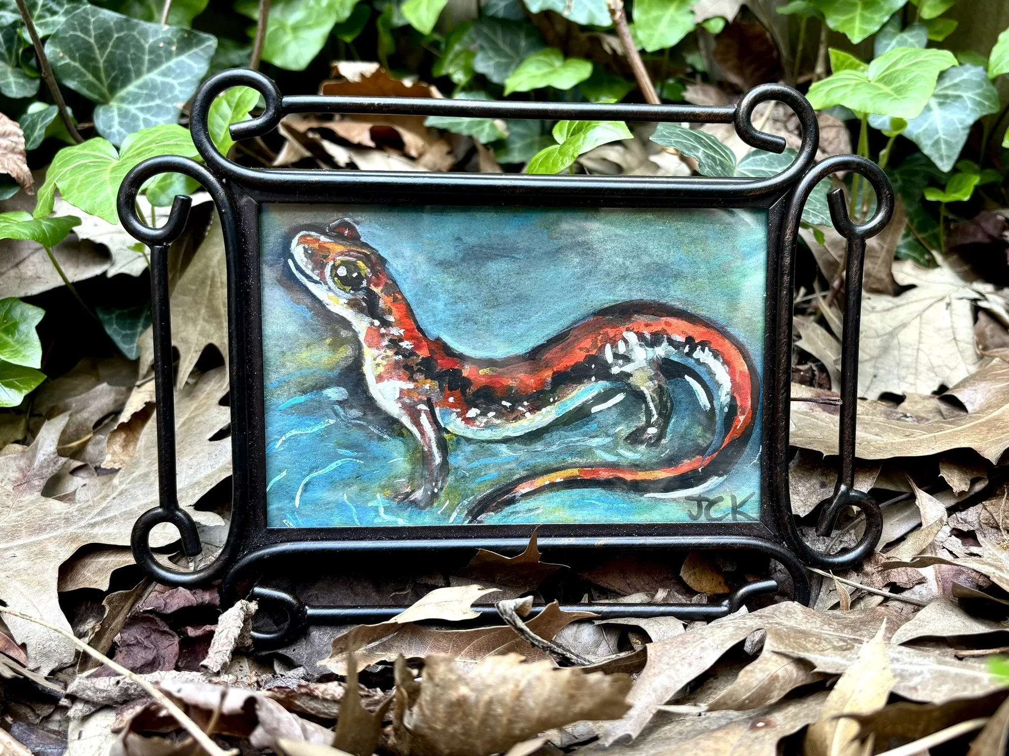 Redbacked Salamander, 2026, 4x6 inches, gouache on watercolor paper in a thrifted frame