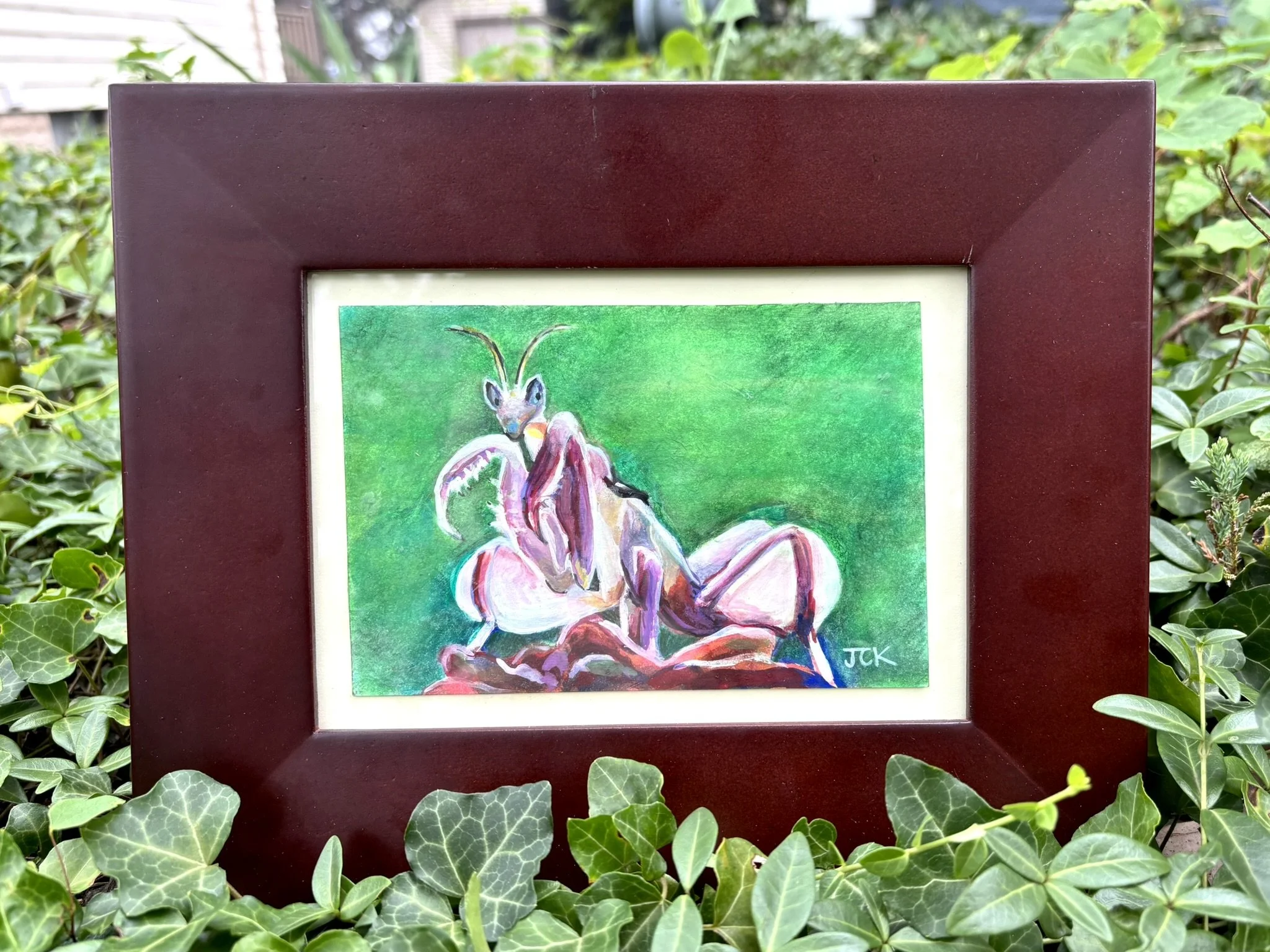 Orchid Mantis, 2026, 4x6 inches, gouache on multimedia paper in an 8x10 inch thrifted frame
